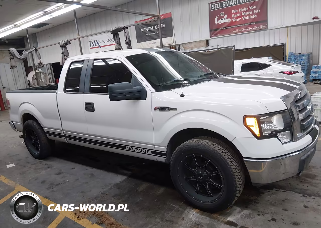 2010 Ford F-150 Fx2 Sport-Stx-Xl-Xlt VIN:1FTEX1C84AKE66268 - 13