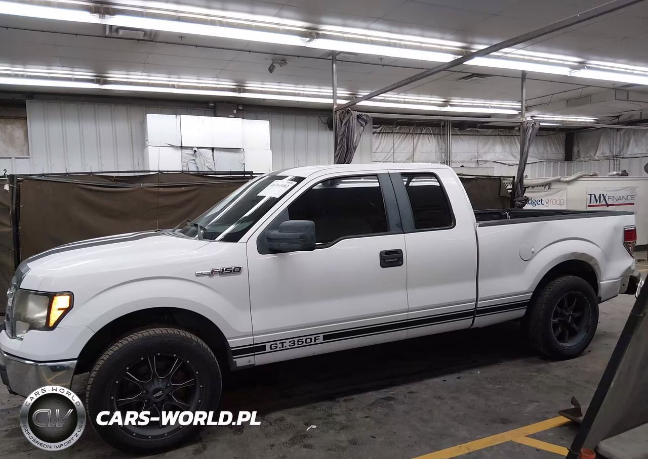 2010 Ford F-150 Fx2 Sport-Stx-Xl-Xlt VIN:1FTEX1C84AKE66268 - 14