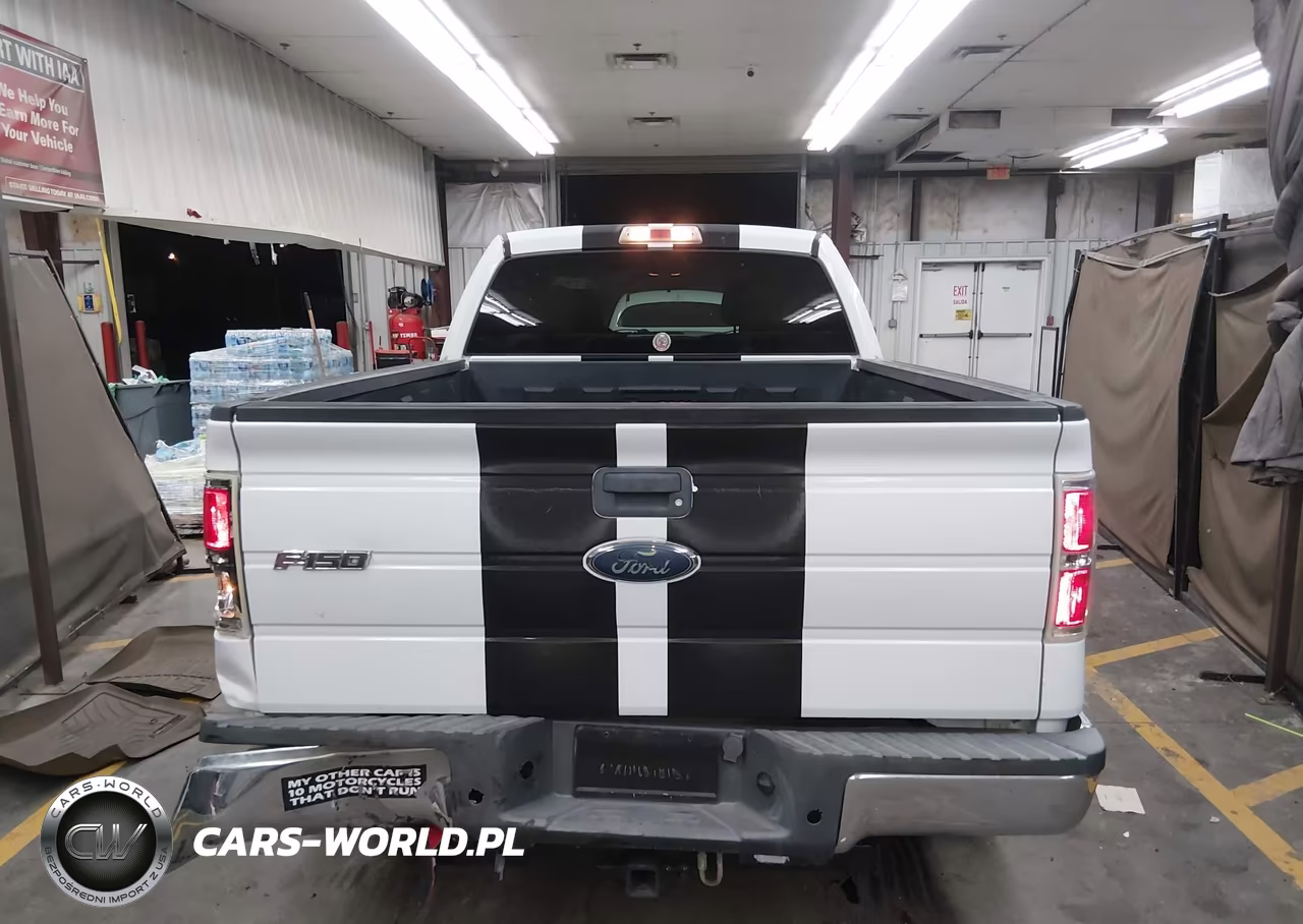 2010 Ford F-150 Fx2 Sport-Stx-Xl-Xlt VIN:1FTEX1C84AKE66268 - 16