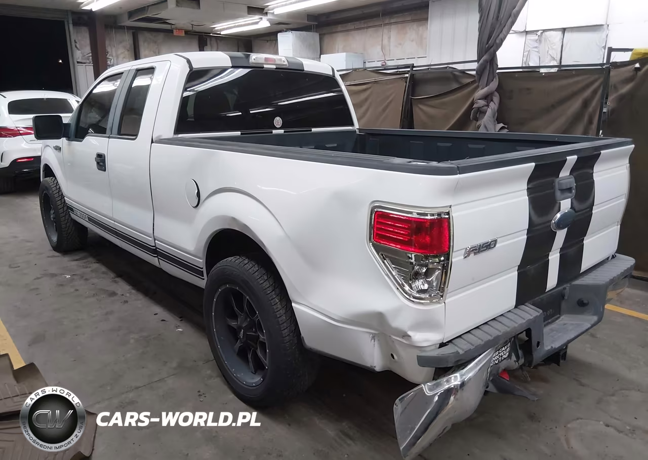 2010 Ford F-150 Fx2 Sport-Stx-Xl-Xlt VIN:1FTEX1C84AKE66268 - 3