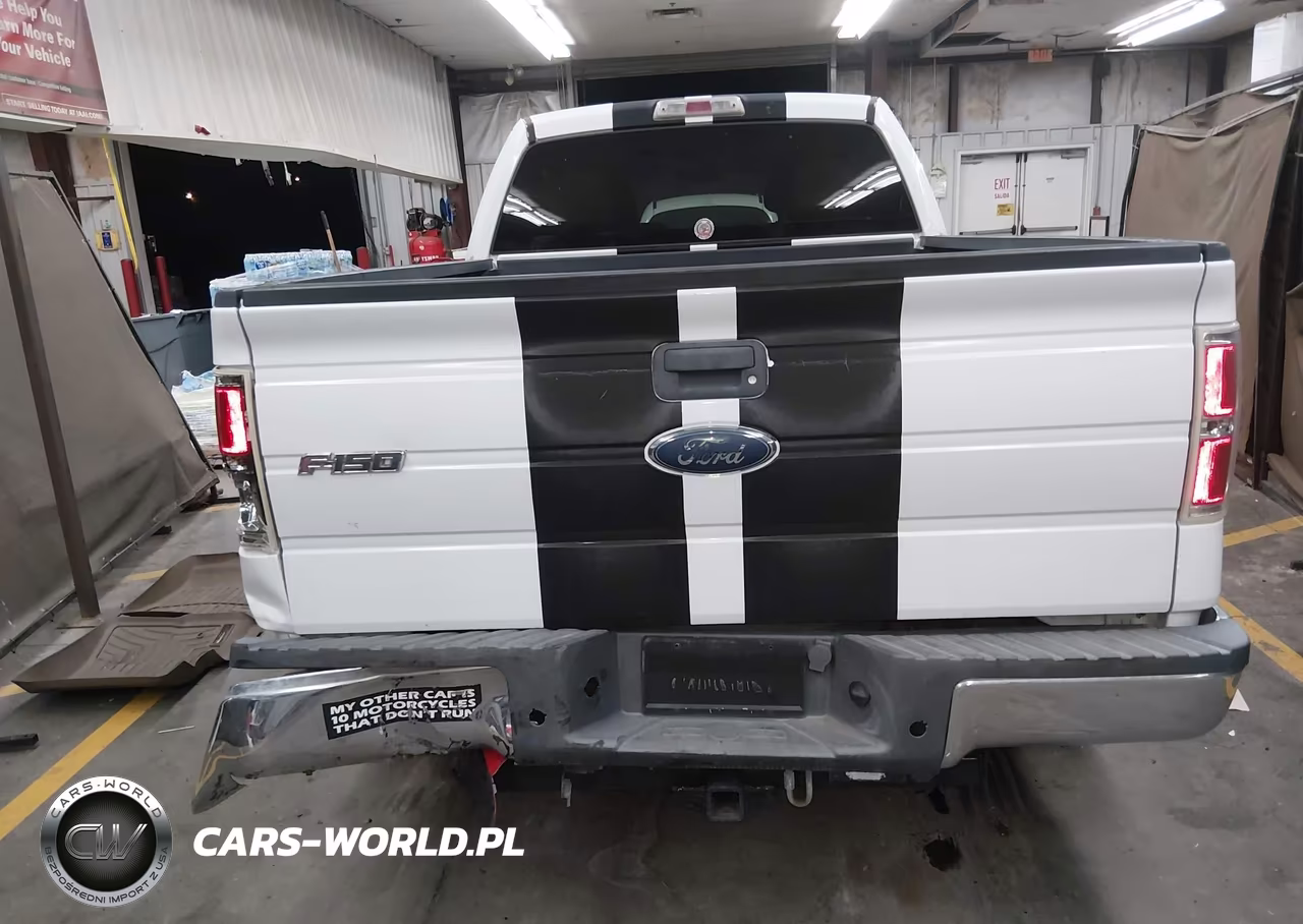 2010 Ford F-150 Fx2 Sport-Stx-Xl-Xlt VIN:1FTEX1C84AKE66268 - 6