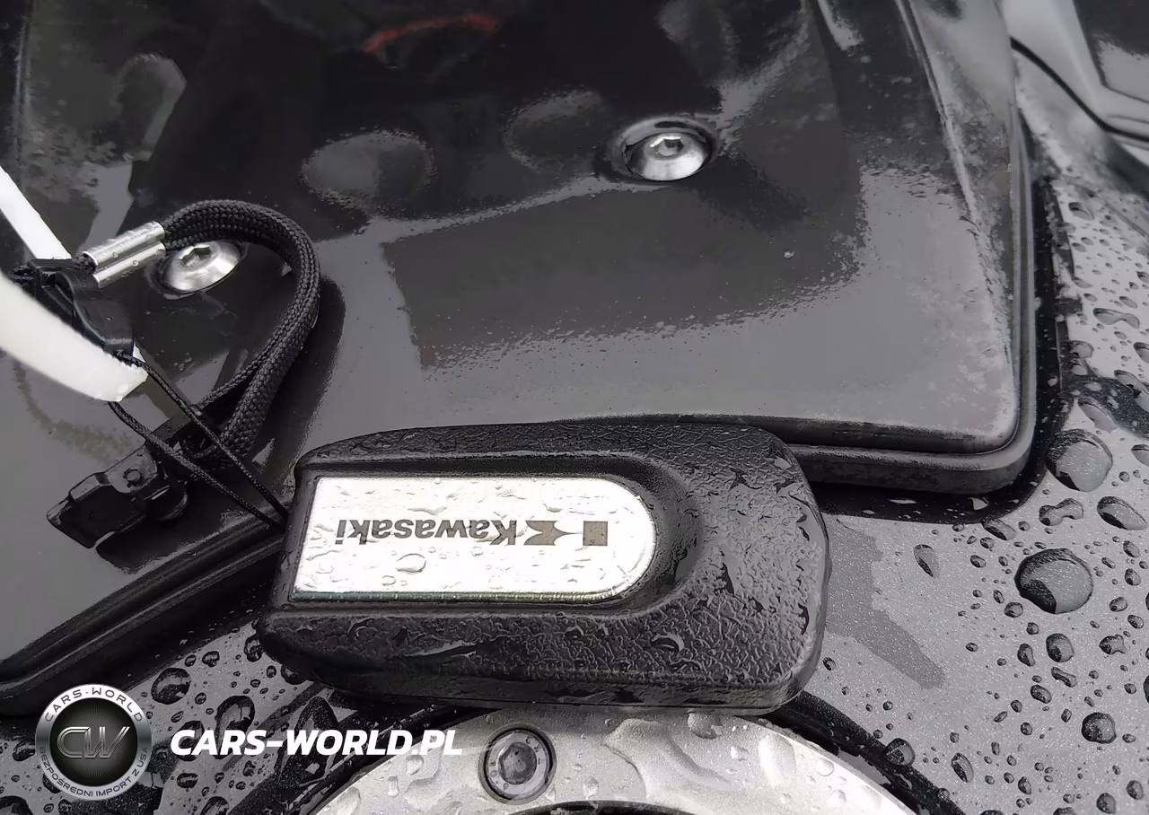 2015 Kawasaki Zg1400 E VIN:JKBZGNE12FA000768 - 11
