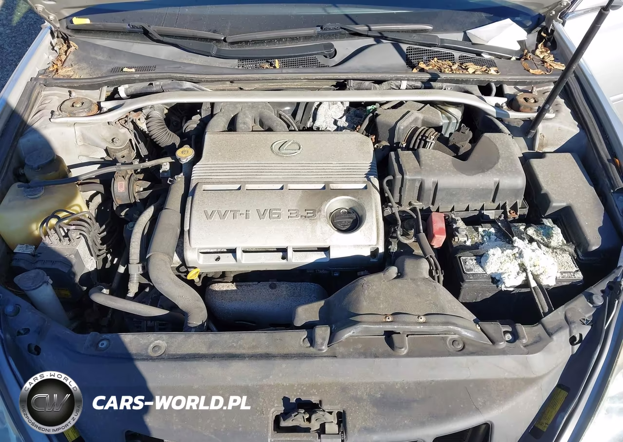 2005 Lexus Es 330 VIN:JTHBA30G255060987 - 10