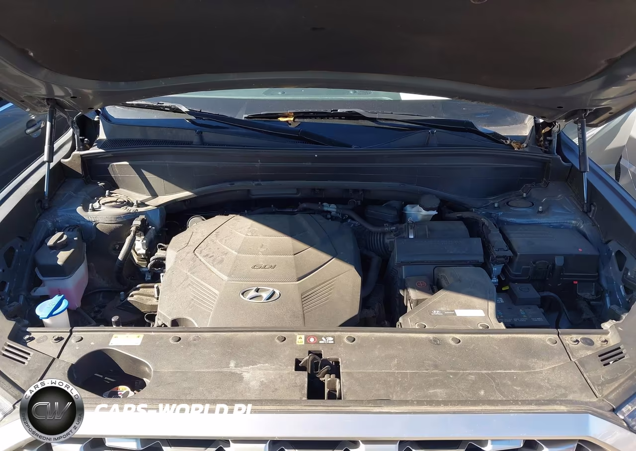 2022 Hyundai Palisade Sel VIN:KM8R2DHE1NU479937 - 10