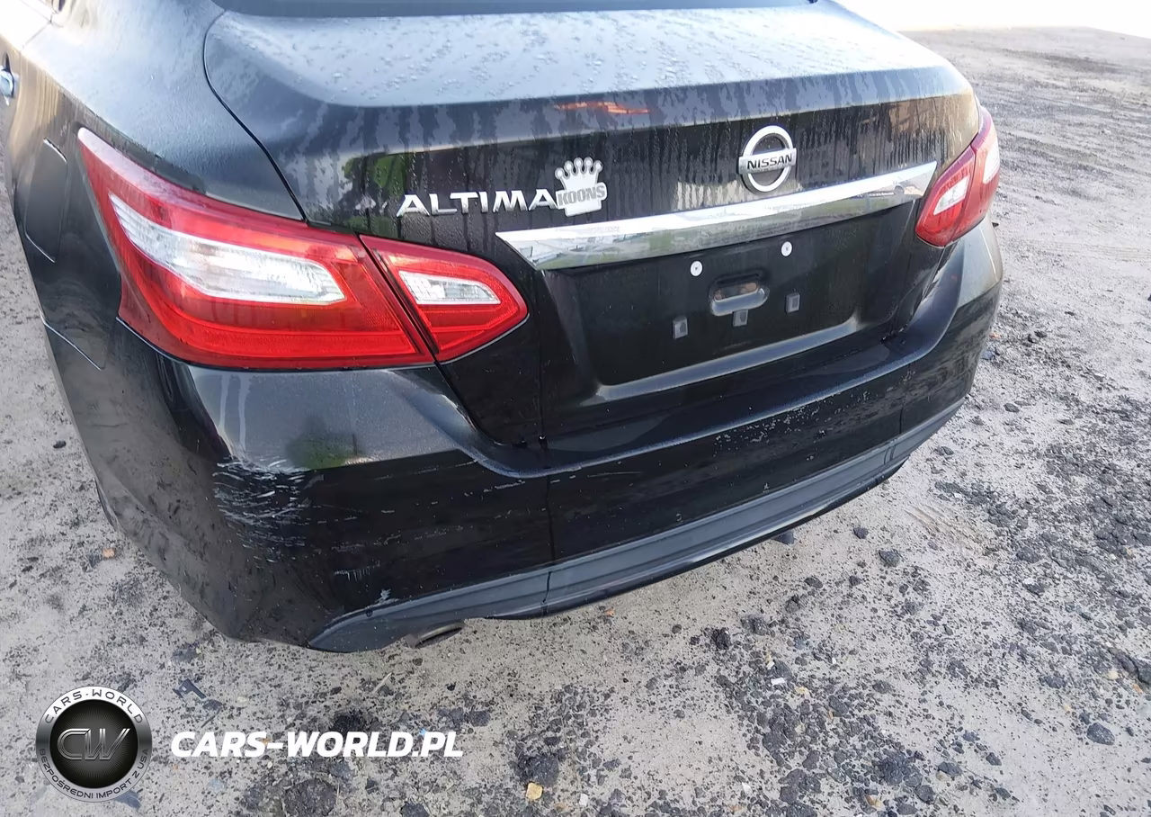 2016 Nissan Altima 2.5-2.5 S-2.5 Sl-2.5 Sr-2.5 Sv VIN:1N4AL3AP3GC242238 - 12