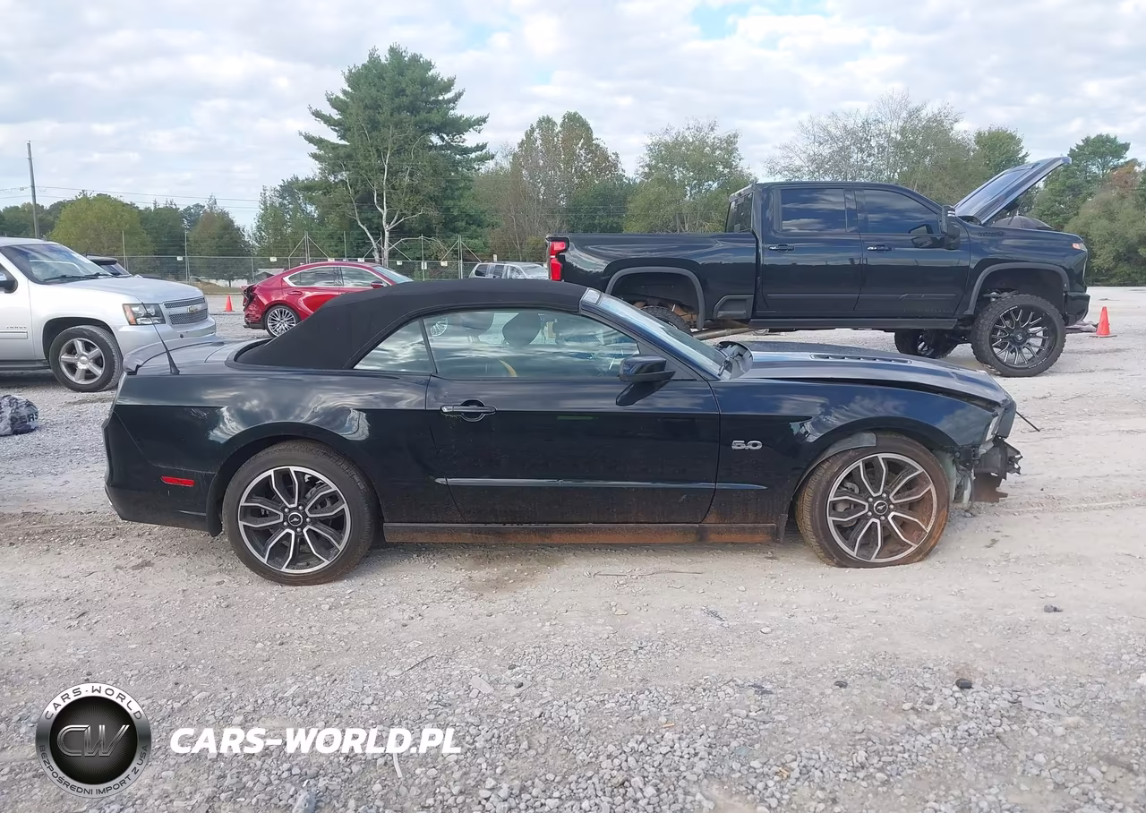 2014 Ford Mustang Gt VIN:1ZVBP8FF8E5332919 - 13