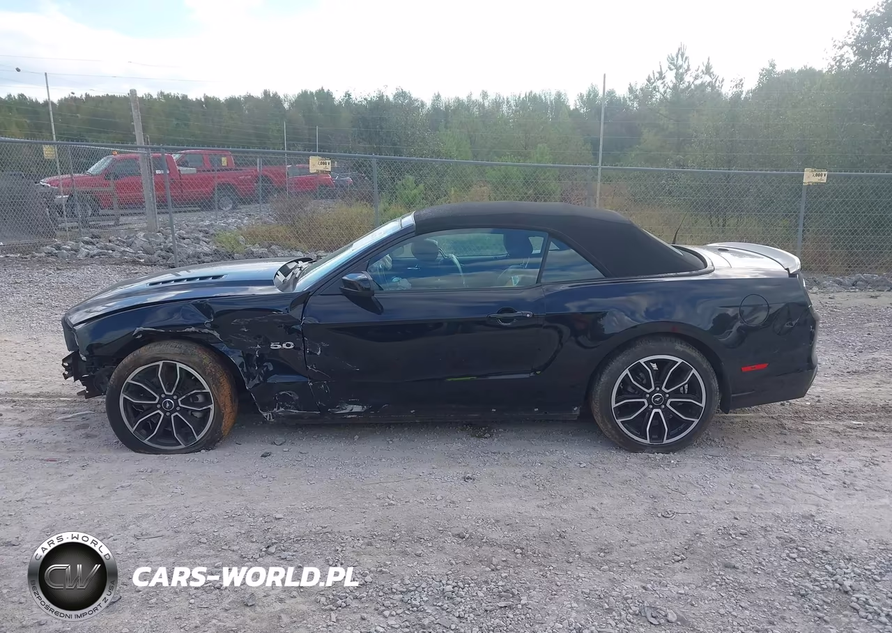 2014 Ford Mustang Gt VIN:1ZVBP8FF8E5332919 - 14
