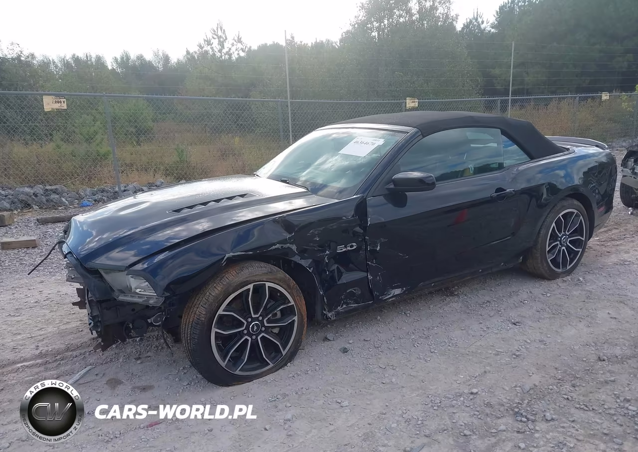 2014 Ford Mustang Gt VIN:1ZVBP8FF8E5332919 - 2