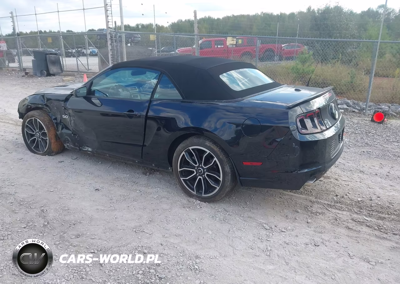 2014 Ford Mustang Gt VIN:1ZVBP8FF8E5332919 - 3