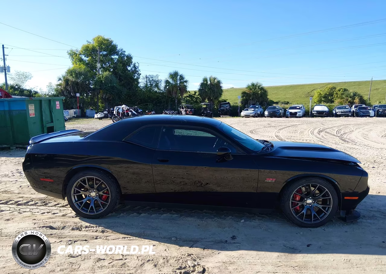 2015 Dodge Challenger Srt 392 VIN:2C3CDZDJ7FH910357 - 13
