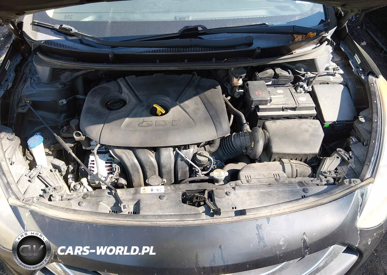 2014 Hyundai Elantra Gt VIN:KMHD35LH0EU203070 - 10