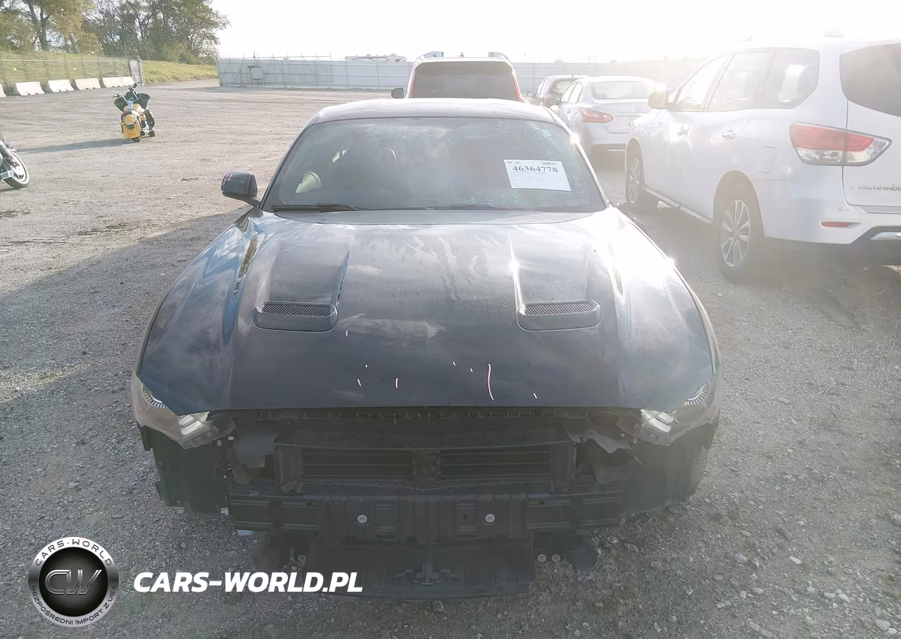 2019 Ford Mustang Gt Premium VIN:1FA6P8CF4K5118519 - 13