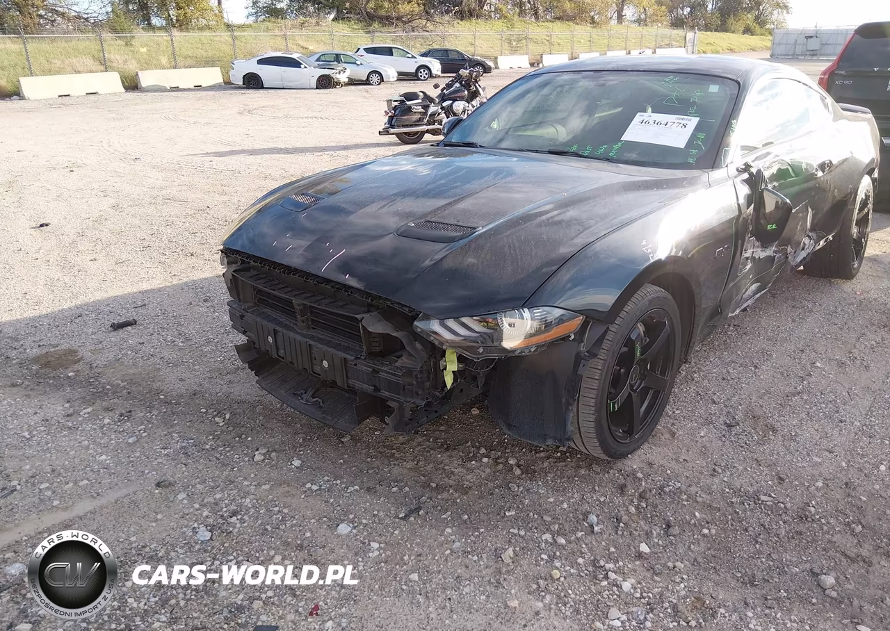 2019 Ford Mustang Gt Premium VIN:1FA6P8CF4K5118519 - 18