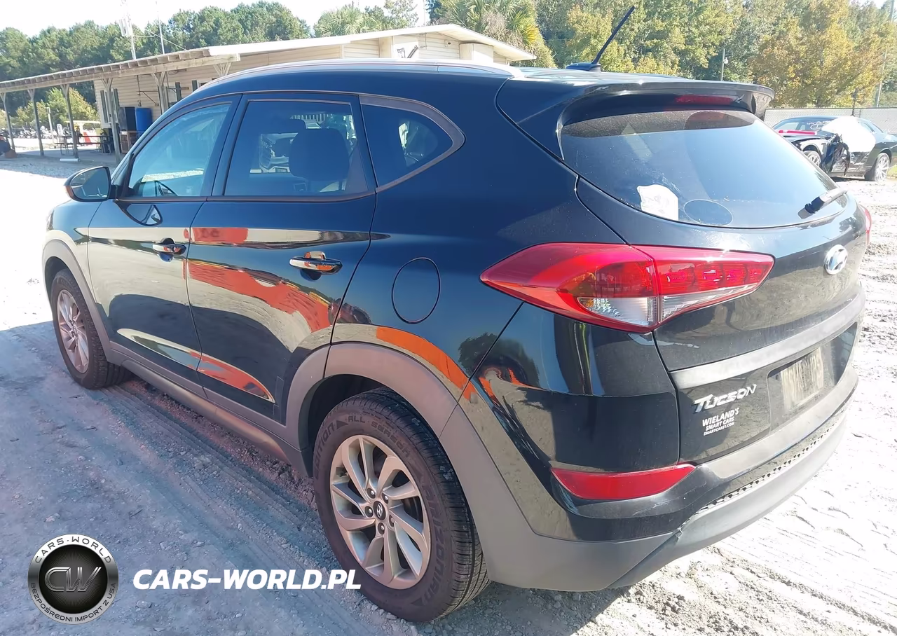 2016 Hyundai Tucson Se VIN:KM8J33A42GU246626 - 3