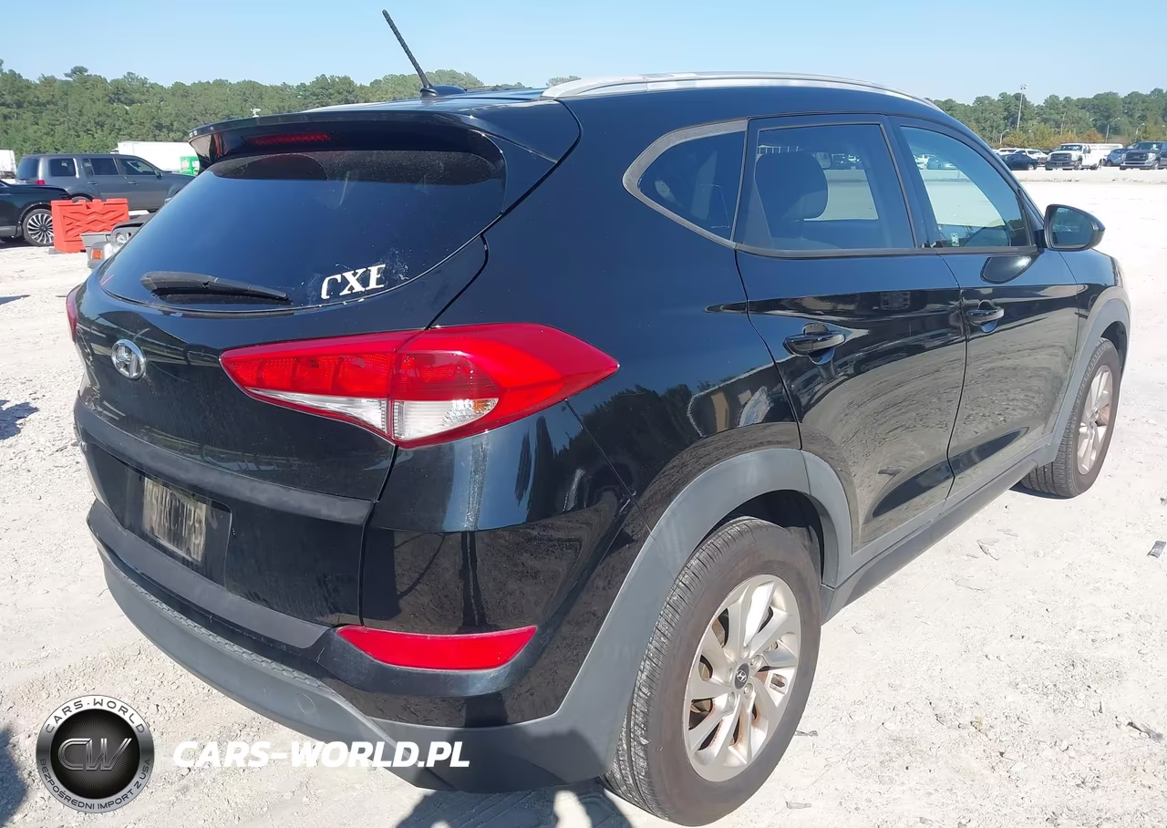 2016 Hyundai Tucson Se VIN:KM8J33A42GU246626 - 4