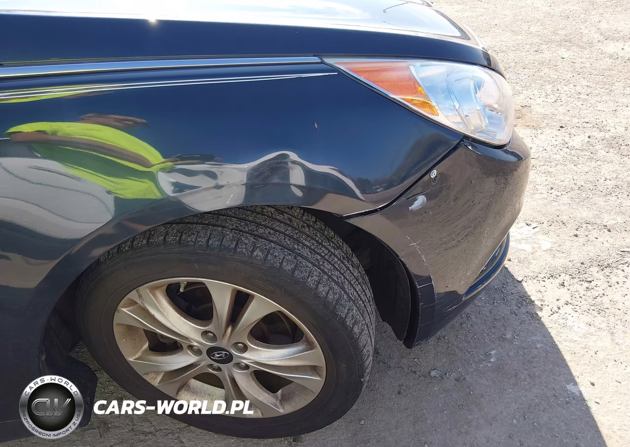 2011 Hyundai Sonata Limited VIN:5NPEC4AC0BH142979 - 6