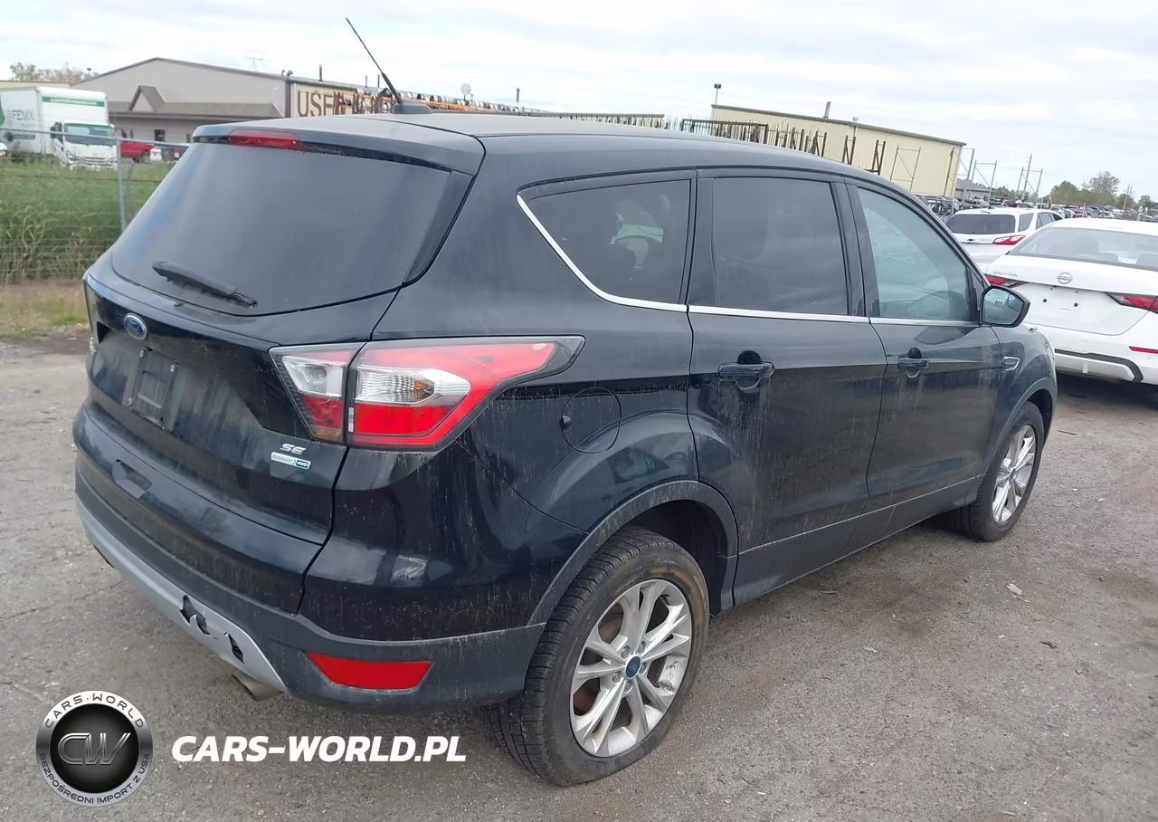 2017 Ford Escape Se VIN:1FMCU9GD0HUB06429 - 4