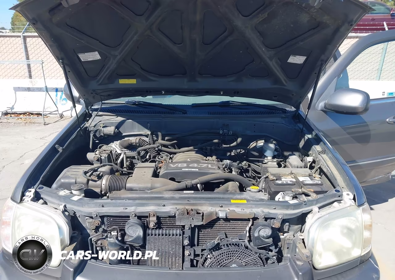 2005 Toyota Sequoia Sr5 V8 VIN:5TDZT34A45S253412 - 10