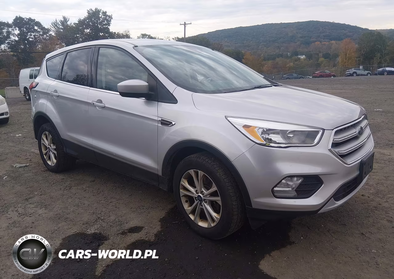 2019 Ford Escape Se