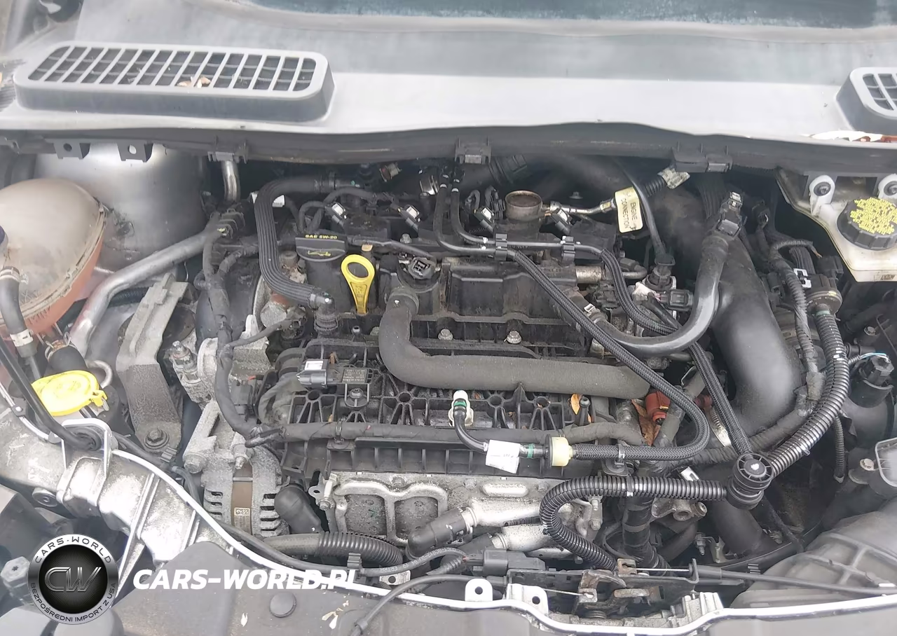 2019 Ford Escape Se VIN:1FMCU9GD2KUB80541 - 10