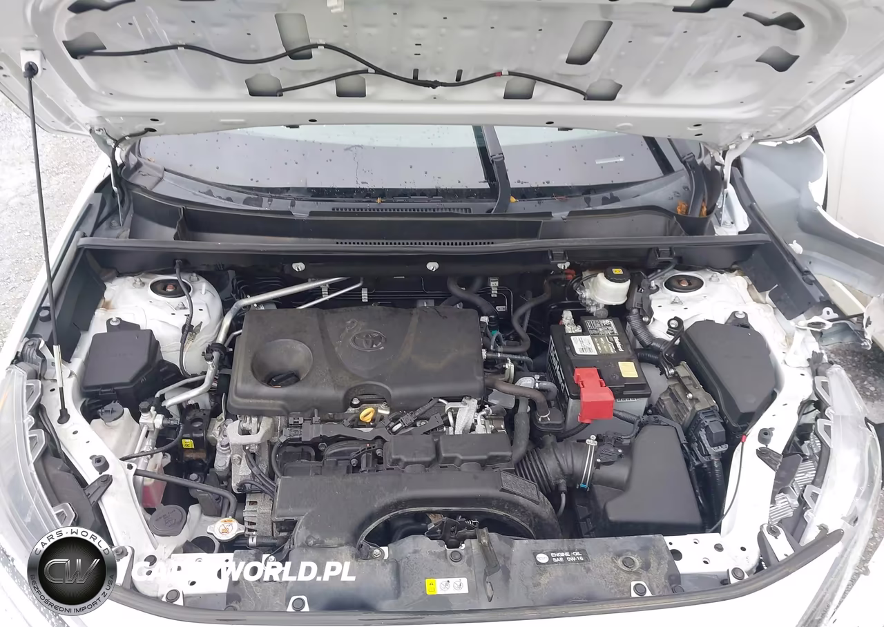 2019 Toyota Rav4 Xle VIN:2T3W1RFV6KW010867 - 10