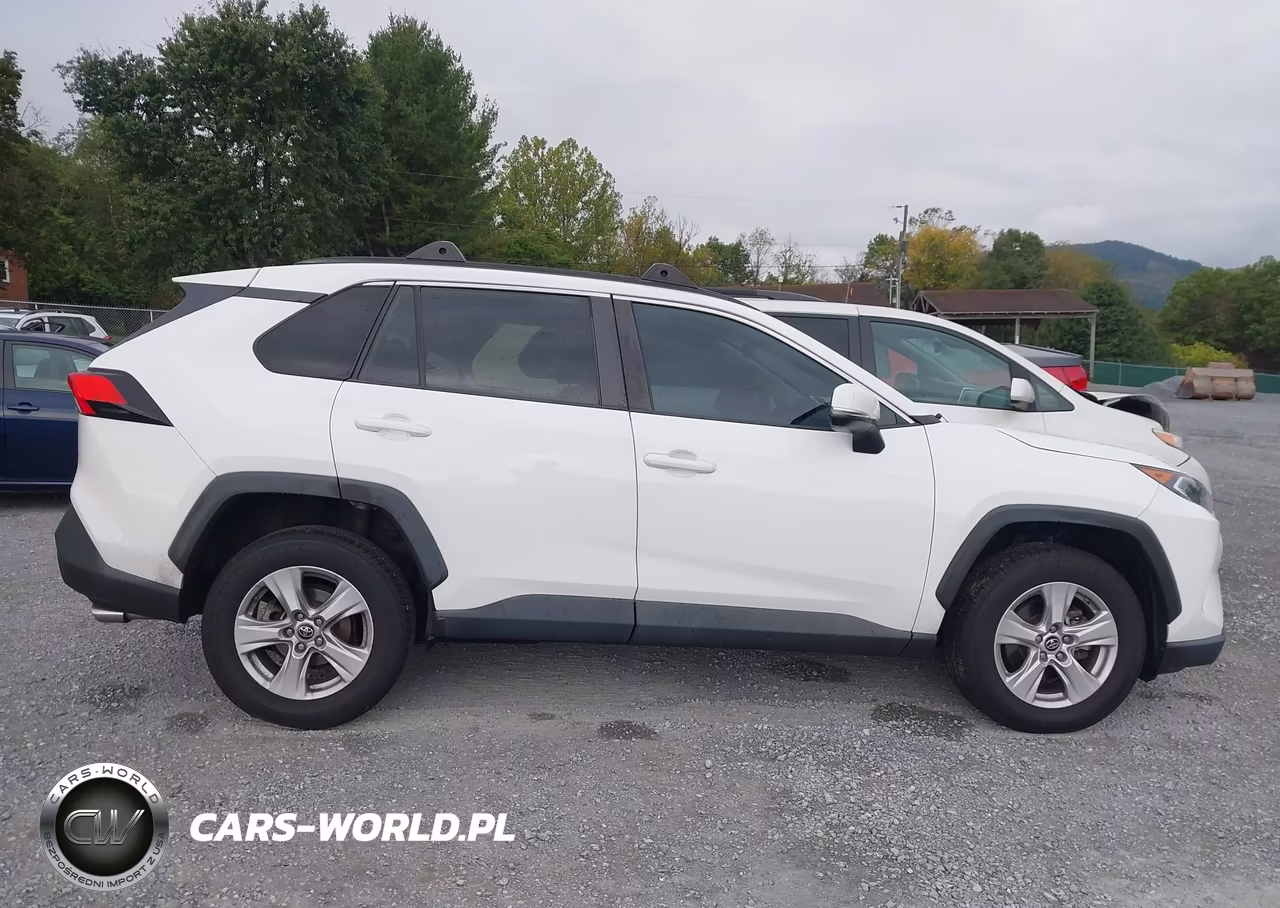2019 Toyota Rav4 Xle VIN:2T3W1RFV6KW010867 - 13