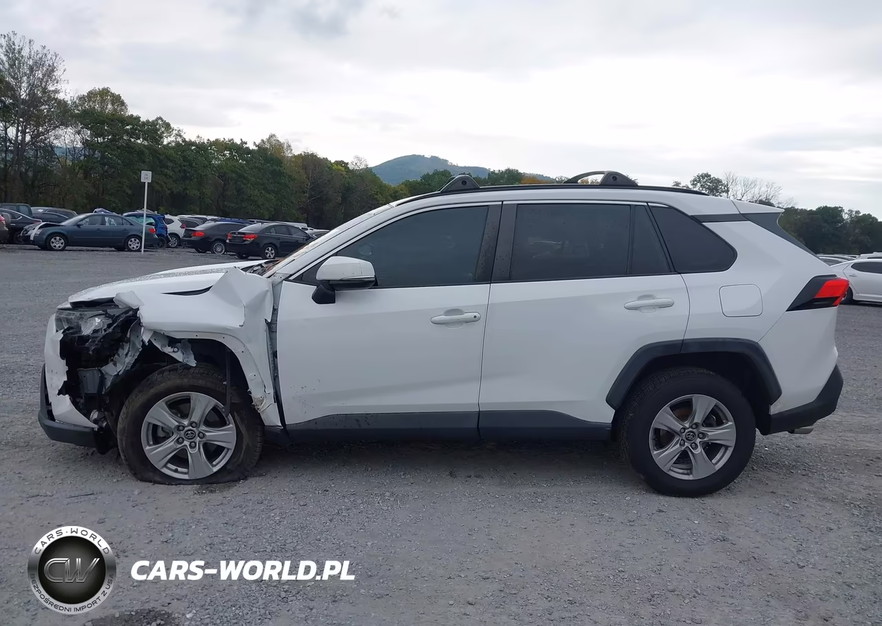 2019 Toyota Rav4 Xle VIN:2T3W1RFV6KW010867 - 14