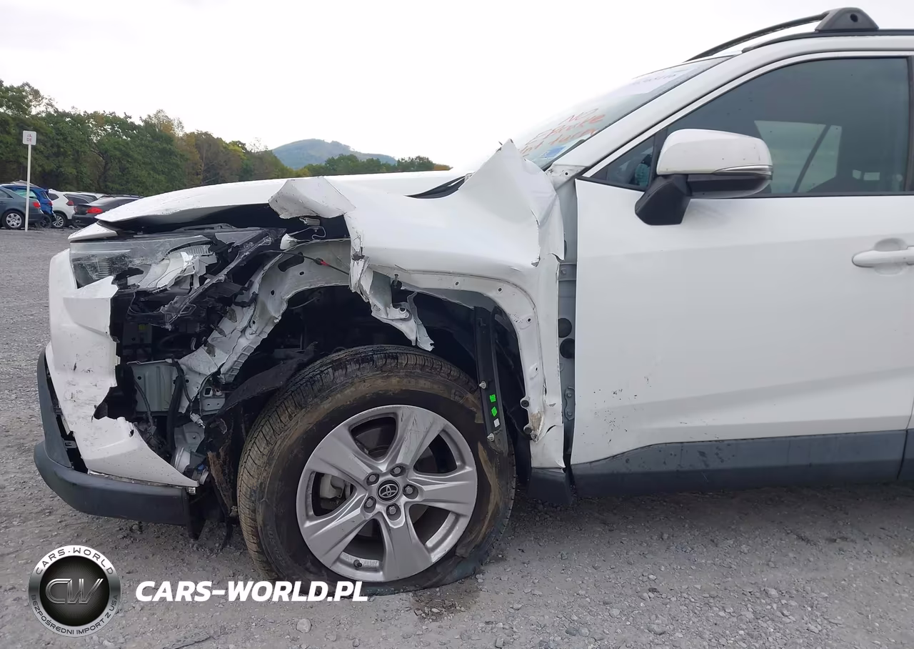2019 Toyota Rav4 Xle VIN:2T3W1RFV6KW010867 - 17