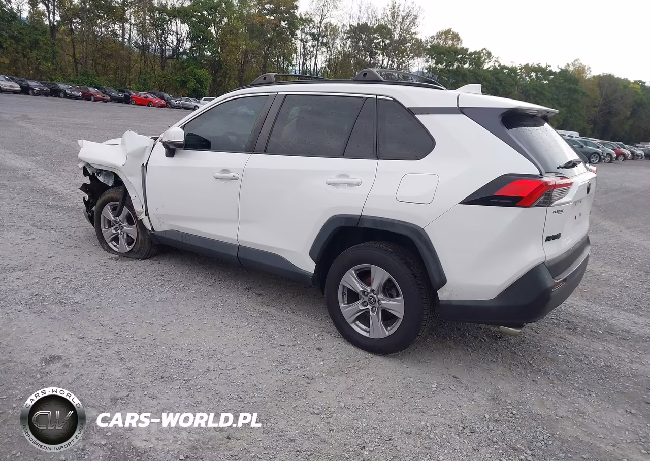 2019 Toyota Rav4 Xle VIN:2T3W1RFV6KW010867 - 3