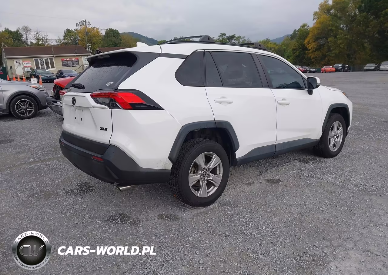 2019 Toyota Rav4 Xle VIN:2T3W1RFV6KW010867 - 4
