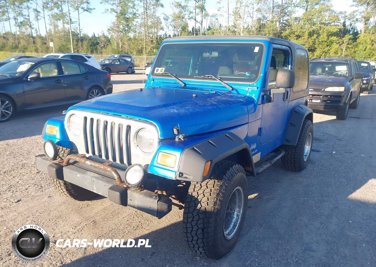 2003 Jeep Wrangler X VIN:1J4FA39S43P300921 - 2