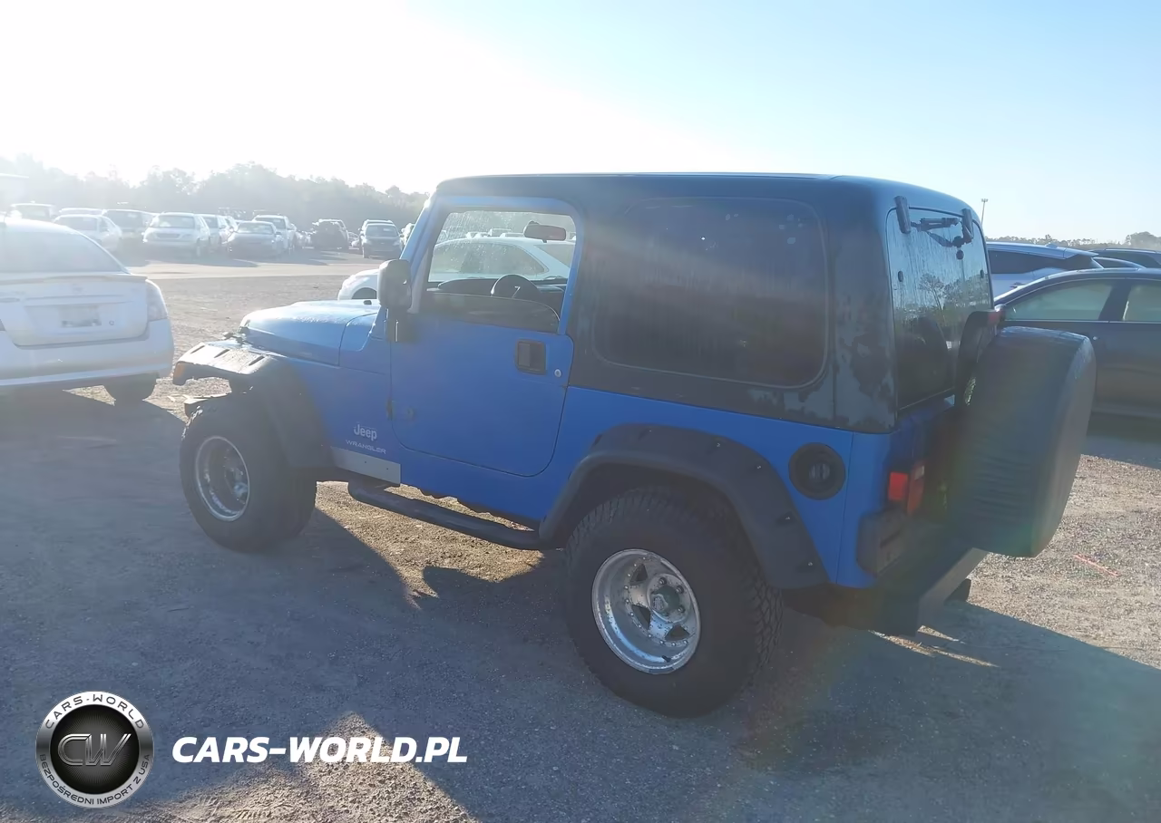 2003 Jeep Wrangler X VIN:1J4FA39S43P300921 - 3