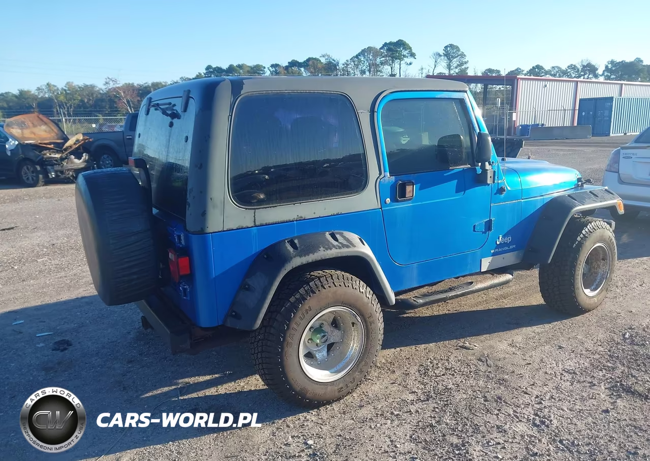 2003 Jeep Wrangler X VIN:1J4FA39S43P300921 - 4