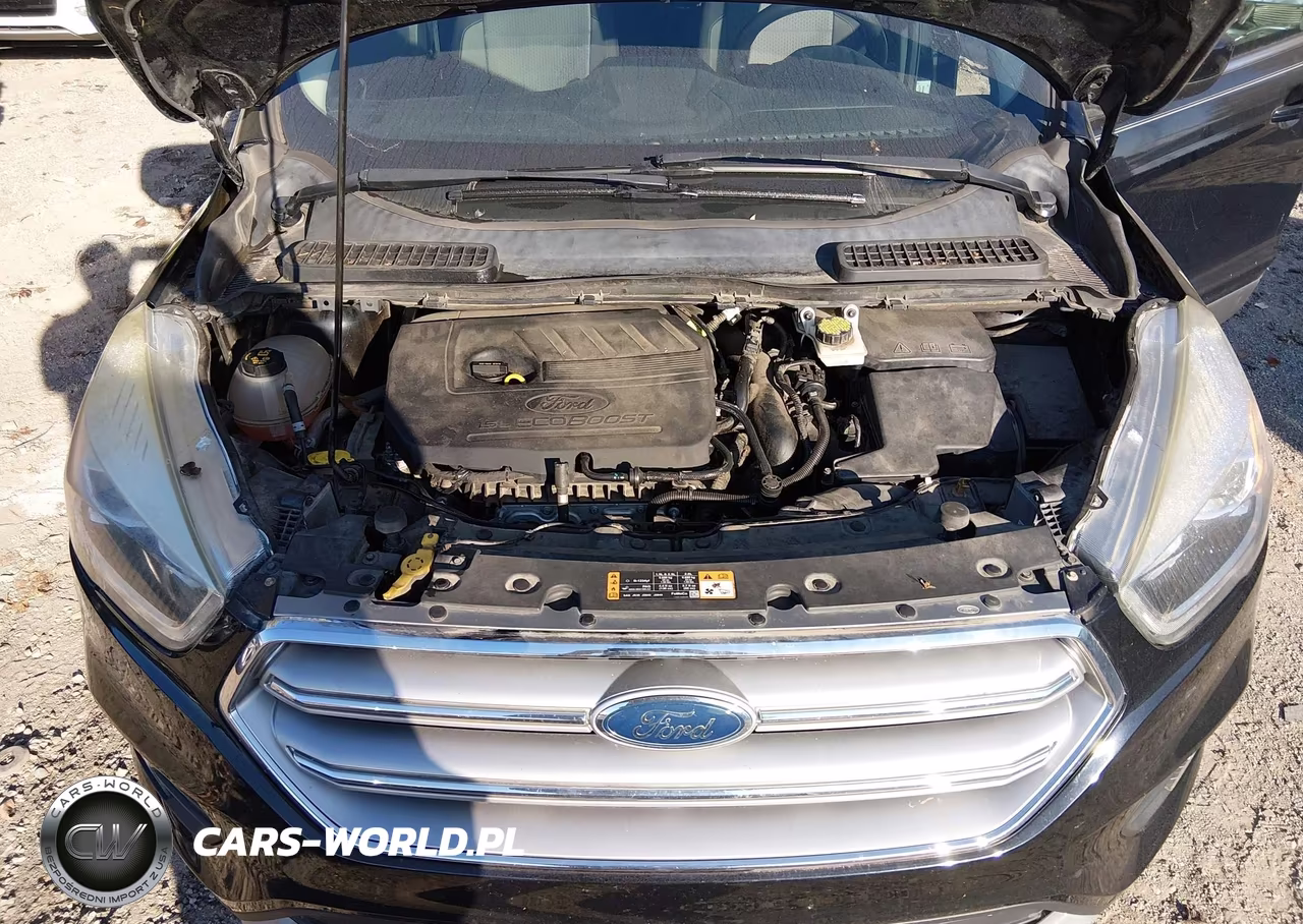 2017 Ford Escape Se VIN:1FMCU0GDXHUE70336 - 10