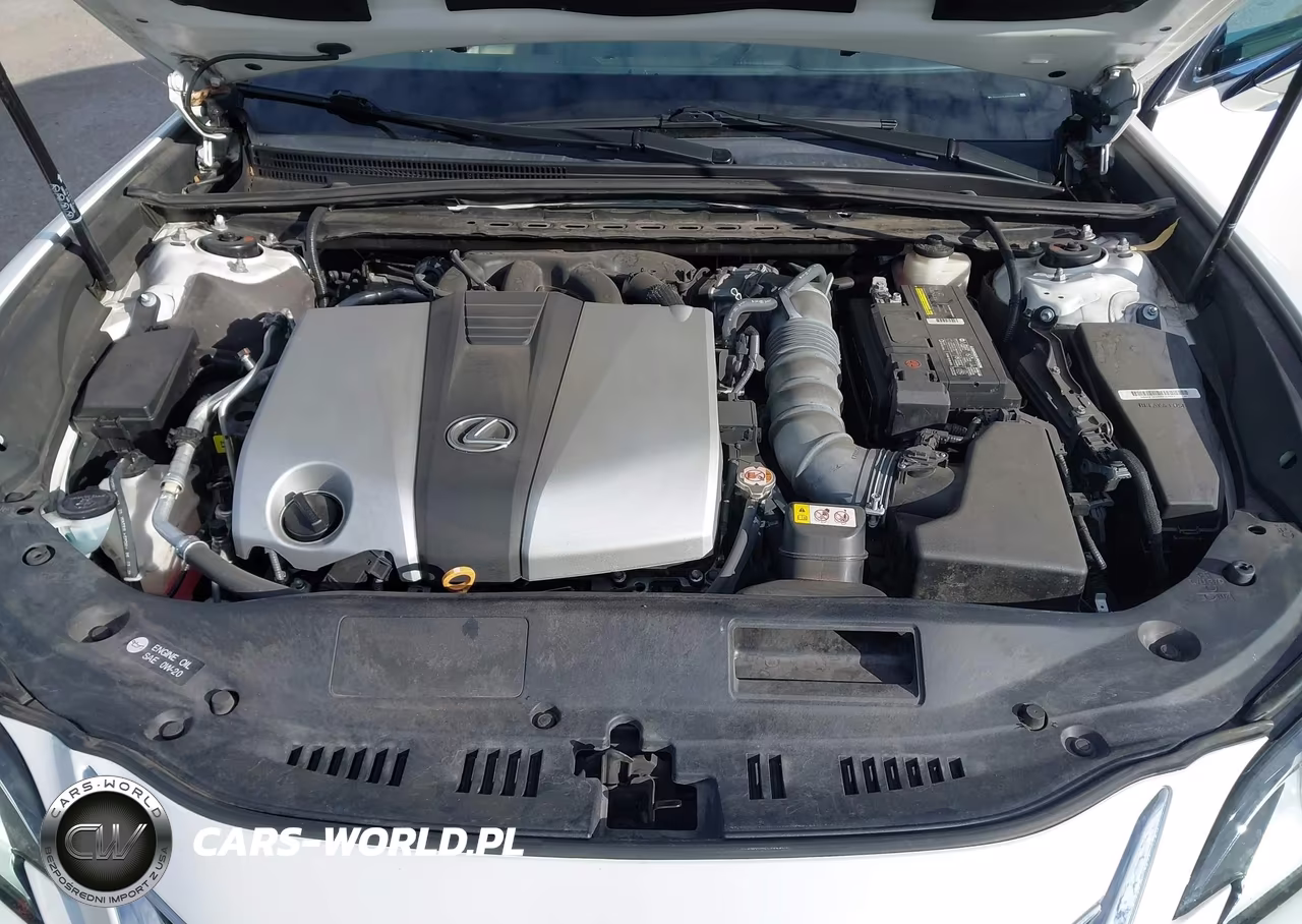 2021 Lexus Es 350 VIN:58ADZ1B15MU087867 - 10