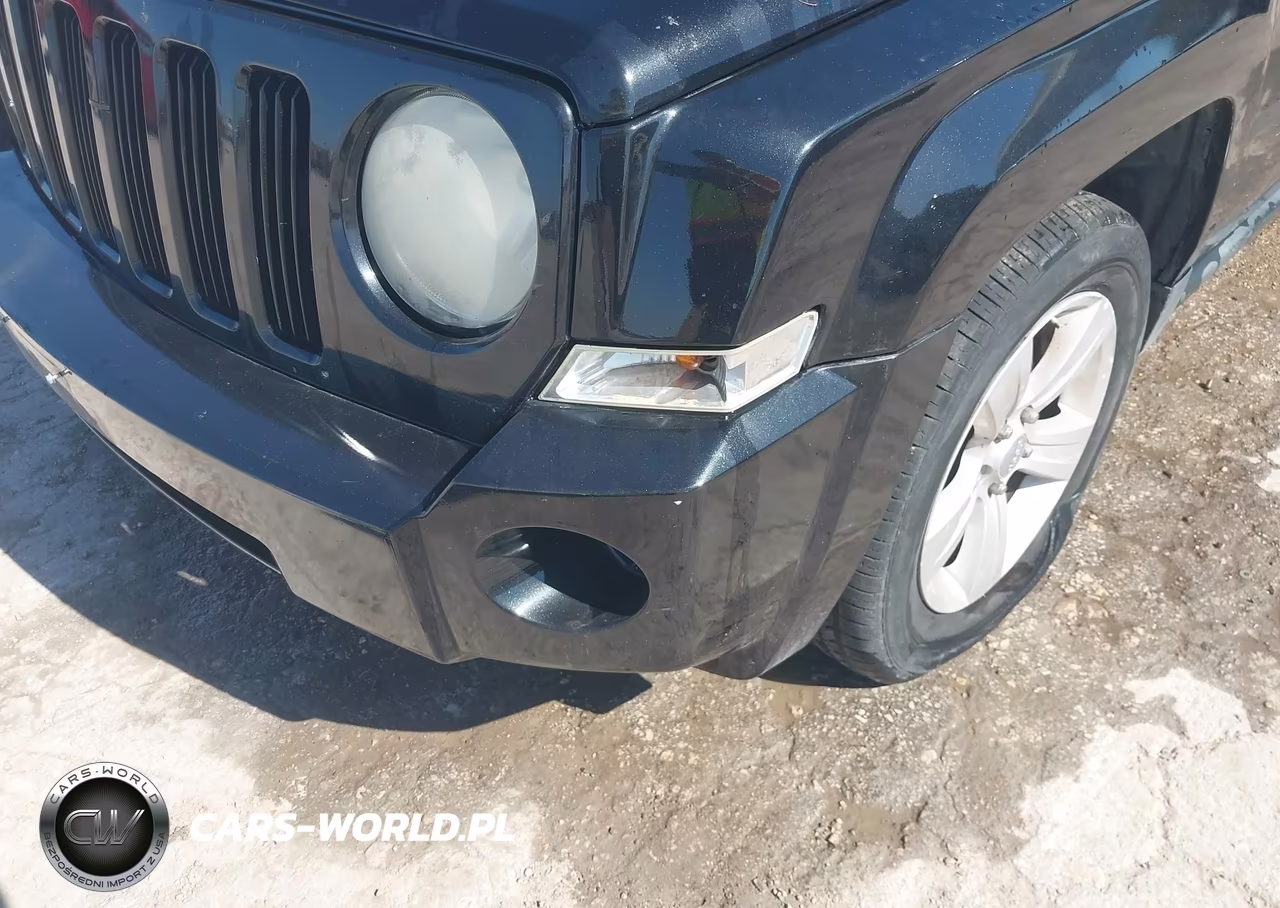 2009 Jeep Patriot Sport VIN:1J8FT28B19D167601 - 12