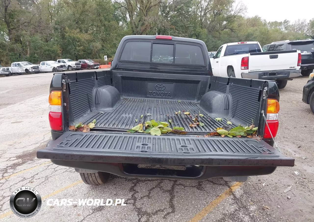 2003 Toyota Tacoma Prerunner V6 VIN:5TESN92N83Z244412 - 11