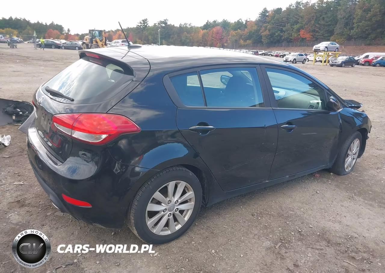 2016 Kia Forte Lx VIN:KNAFK5A88G5651912 - 4
