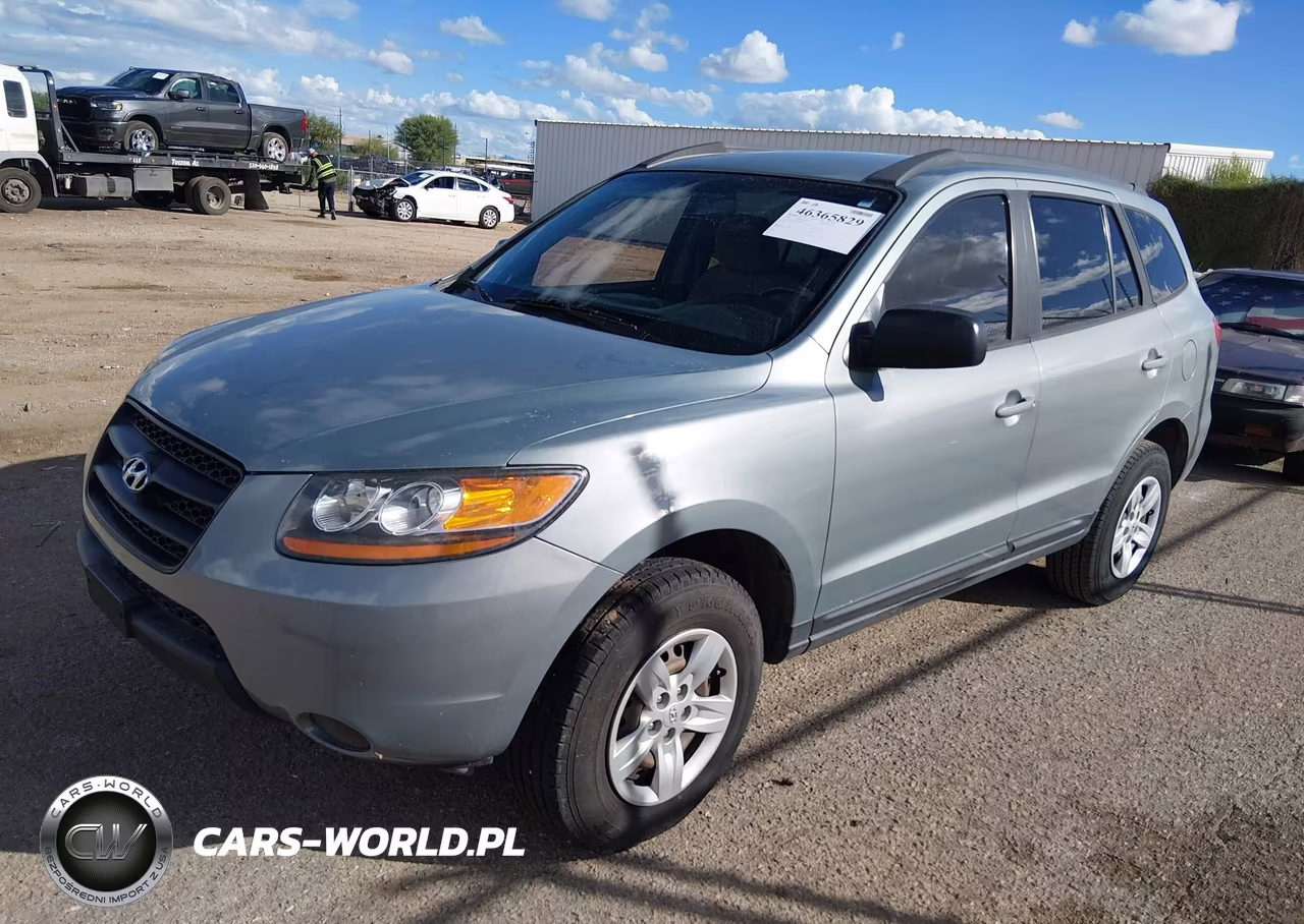 2009 Hyundai Santa Fe Gls VIN:5NMSG13DX9H314275 - 2