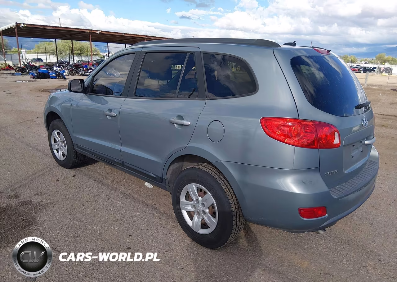 2009 Hyundai Santa Fe Gls VIN:5NMSG13DX9H314275 - 3