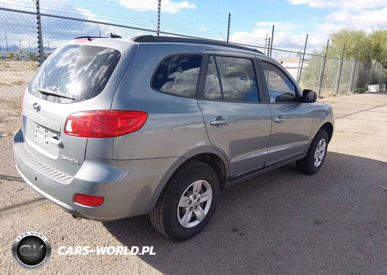 2009 Hyundai Santa Fe Gls VIN:5NMSG13DX9H314275 - 4