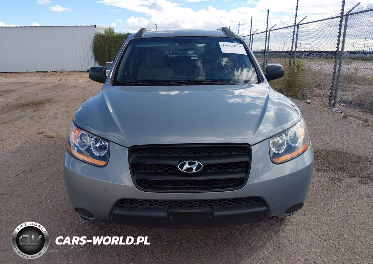 2009 Hyundai Santa Fe Gls VIN:5NMSG13DX9H314275 - 6