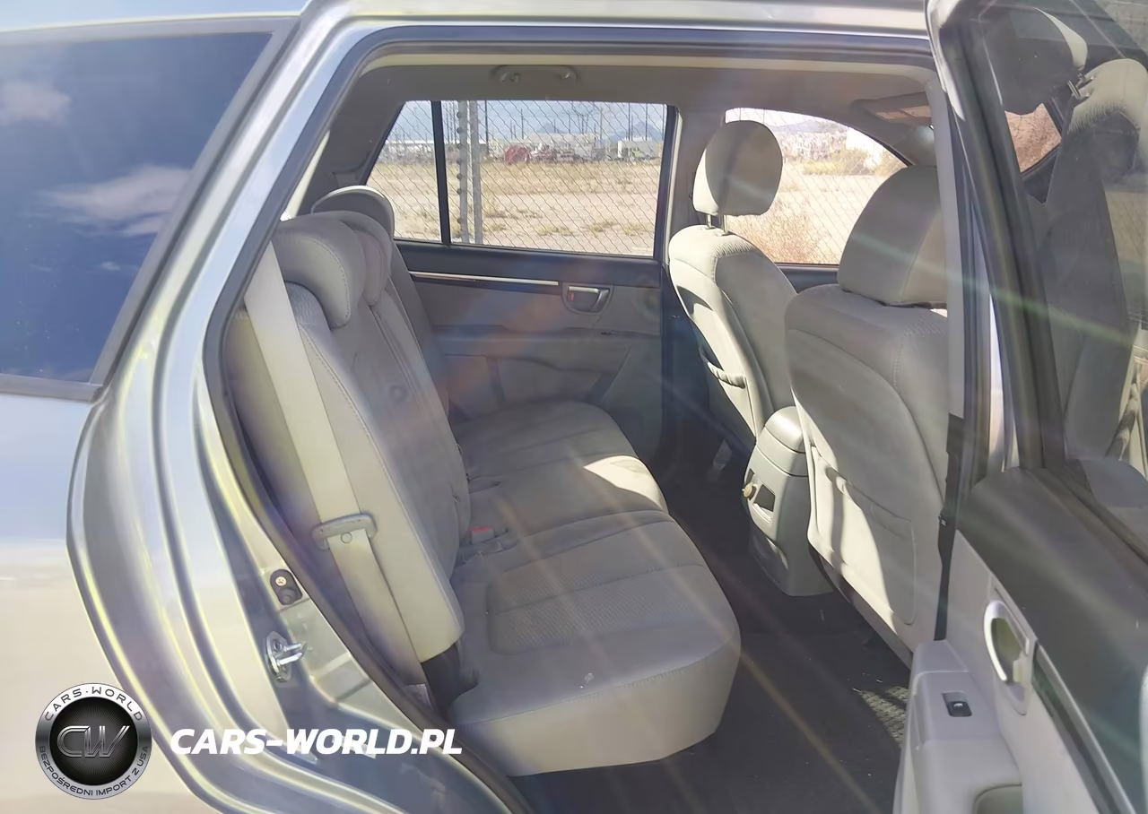2009 Hyundai Santa Fe Gls VIN:5NMSG13DX9H314275 - 8