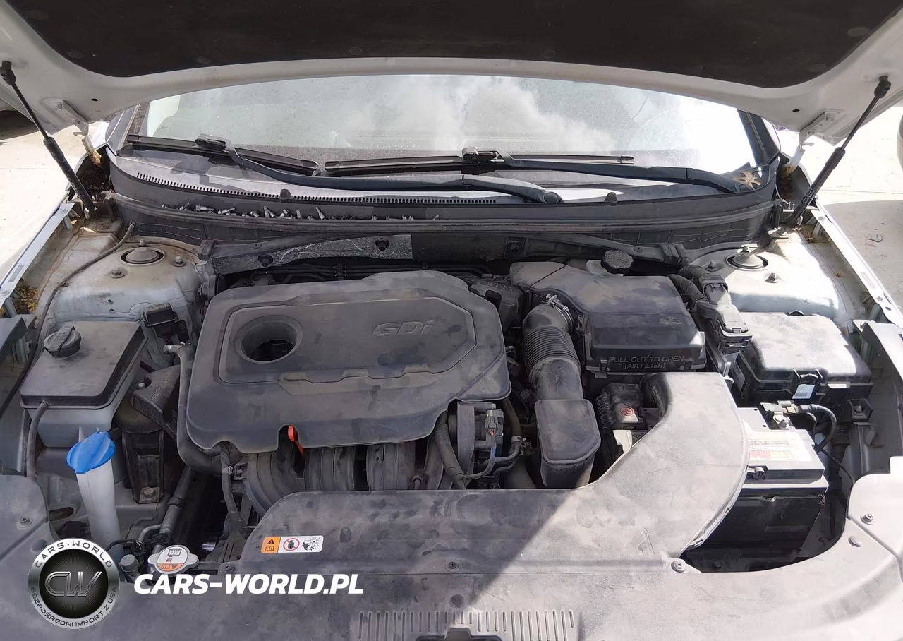 2016 Hyundai Sonata Sport VIN:5NPE34AF8GH409769 - 10