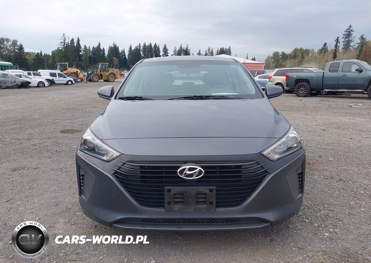 2018 Hyundai Ioniq Hybrid Blue VIN:KMHC65LCXJU100594 - 12