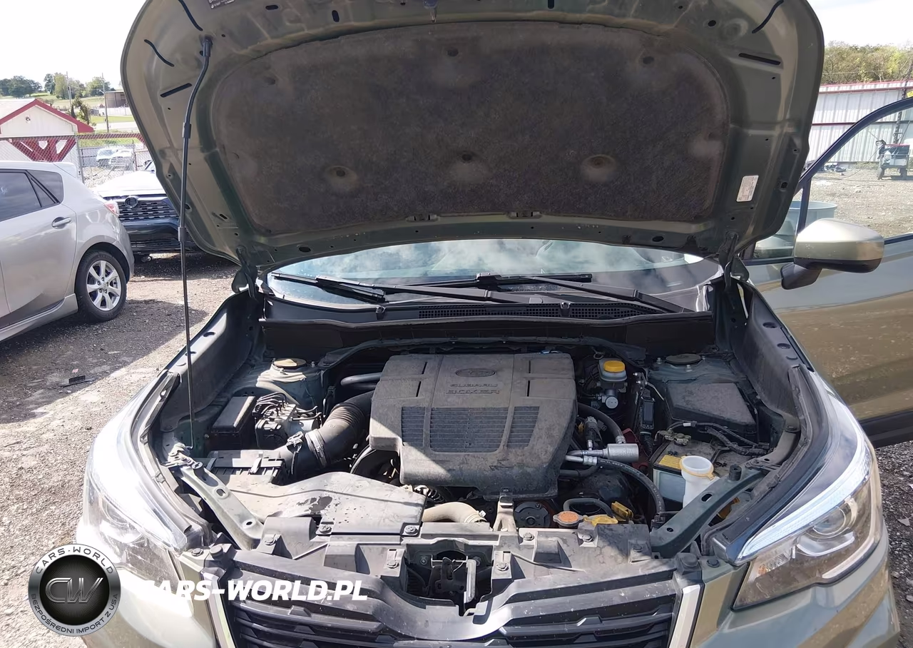 2019 Subaru Forester Premium VIN:JF2SKAEC2KH539169 - 10