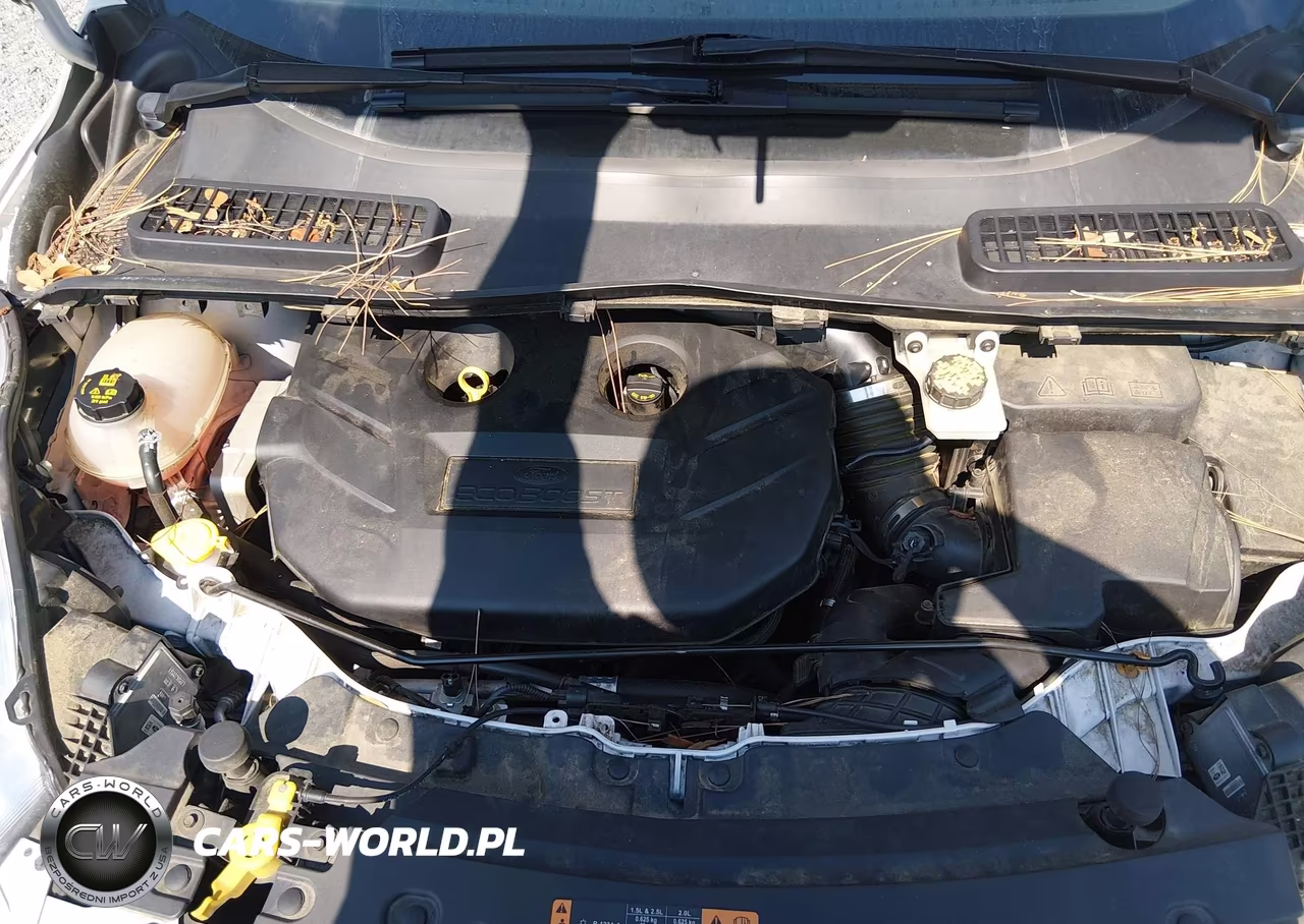 2019 Ford Escape Titanium VIN:1FMCU0J99KUB45480 - 10