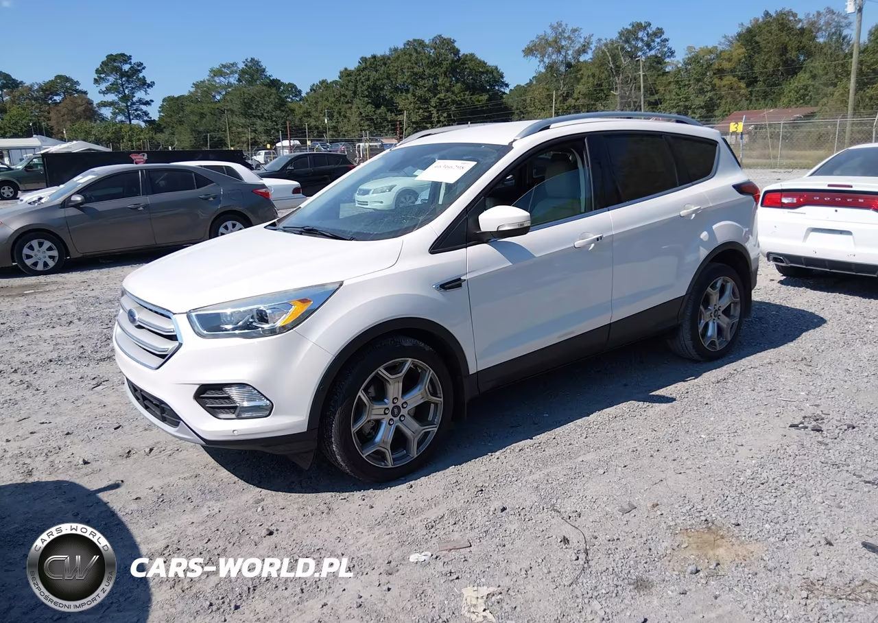 2019 Ford Escape Titanium VIN:1FMCU0J99KUB45480 - 2
