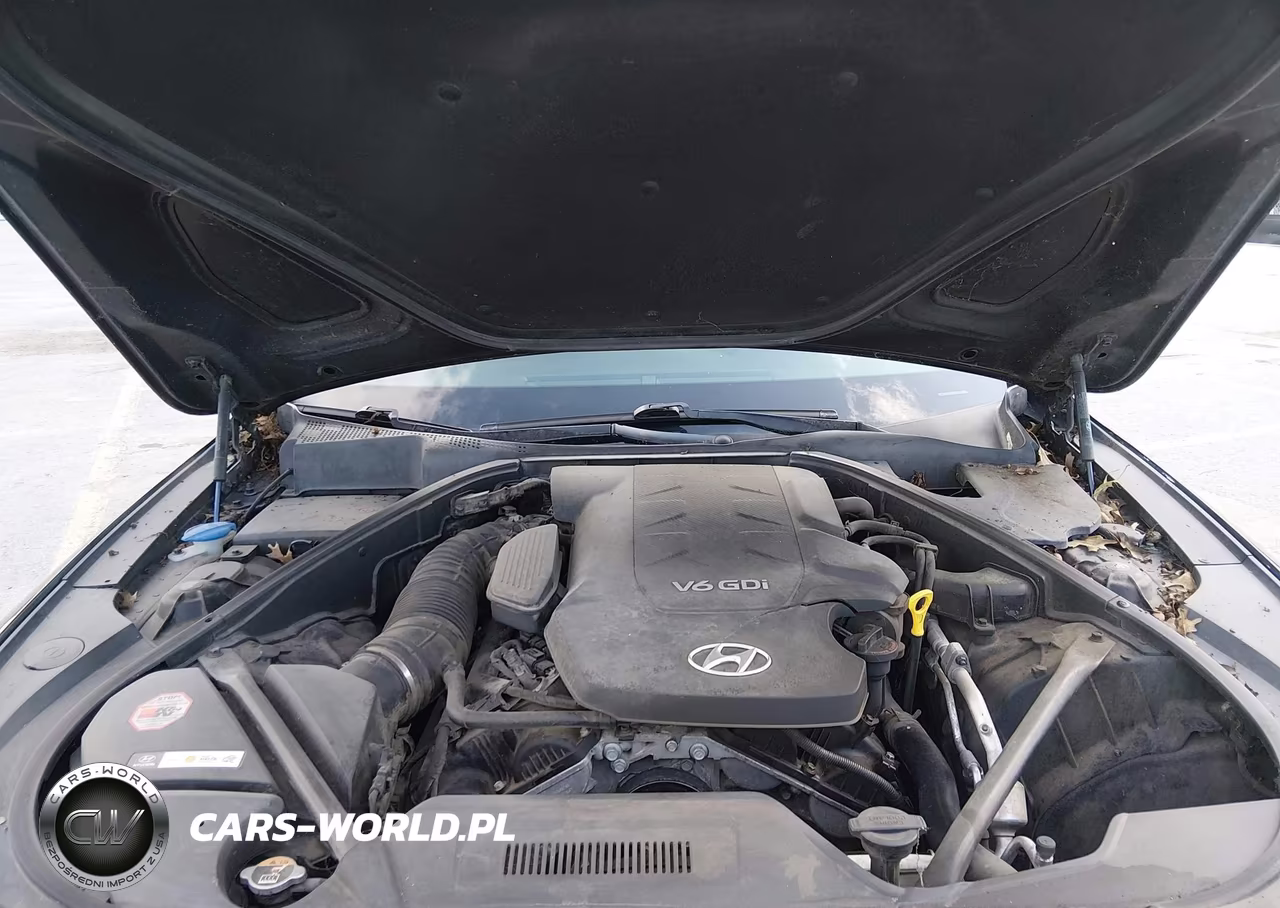 2015 Hyundai Genesis 3.8 VIN:KMHGN4JE0FU033921 - 10