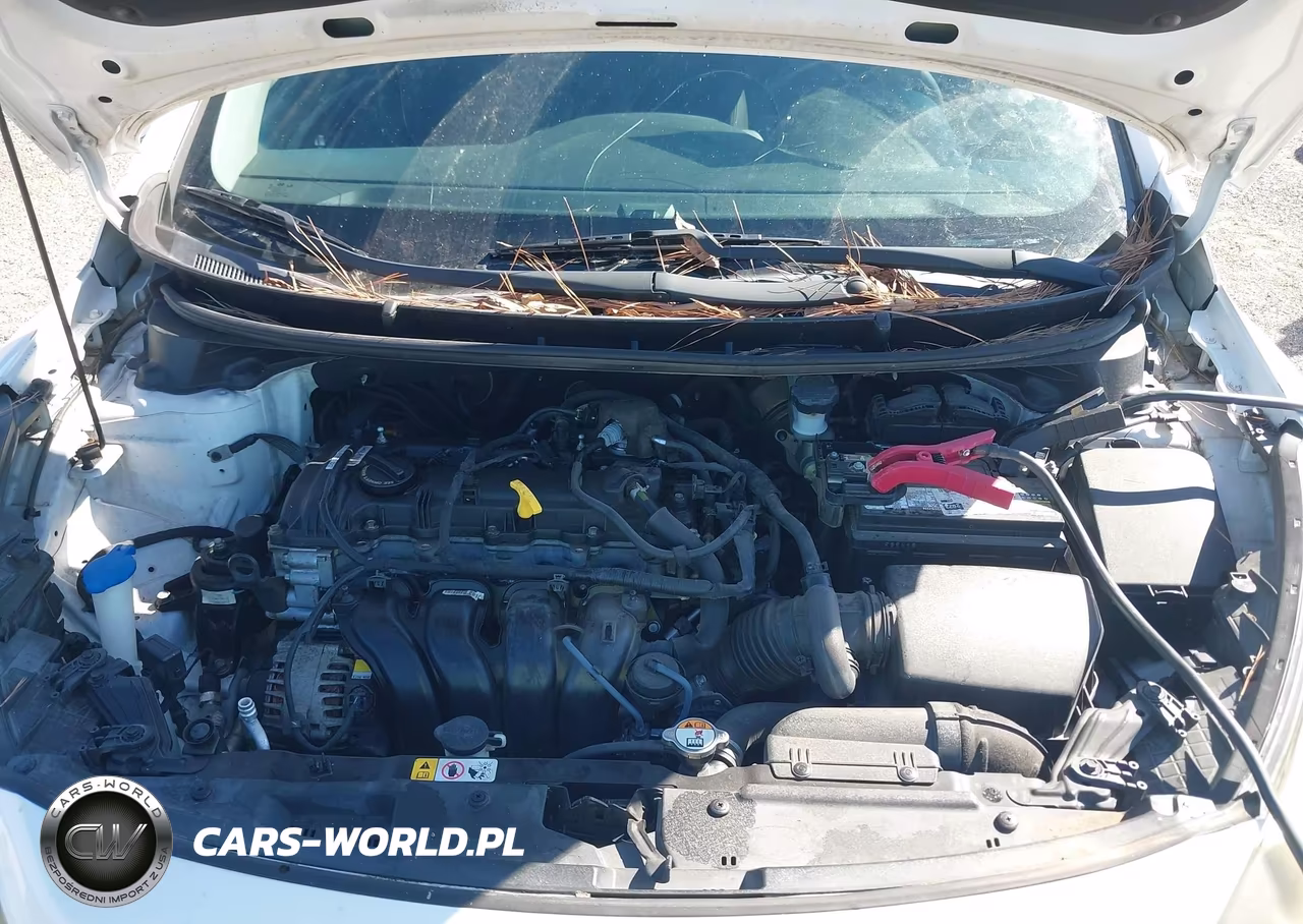 2015 Hyundai Elantra Gt VIN:KMHD35LH7FU249092 - 10